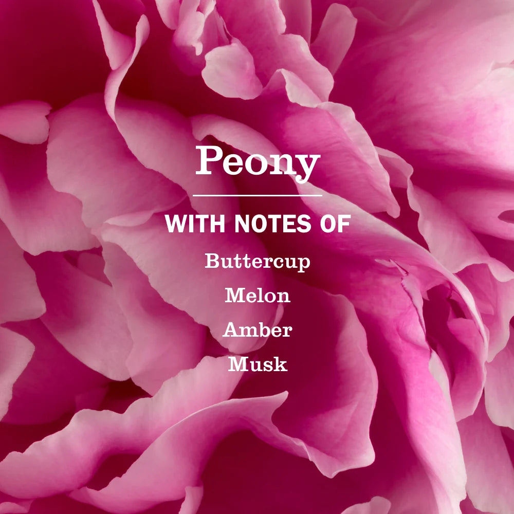 Peony Liquid Hand Soap & Refill Set